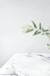 Plain gray wall with leaf and white marble table product background