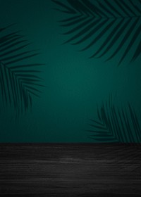 Dark background with tropical leaves silhouette
