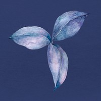 Blue hand drawn watercolor leaf botanical illsutration 