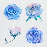Blue watercolor flower set floral illustrations