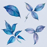 Blue hand drawn botanical watercolor illustrations