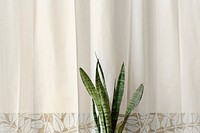 Leaves nature curtain clean simple minimal room