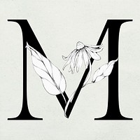 Vector letter m letter vintage typography