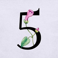 Number 5 font vintage typography