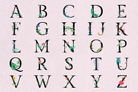 Flower decorated alphabet vector set botanical letters