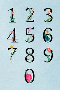 Psd 123 set botanical vintage typeface numbers