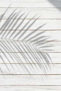 Palm leaf shadow on a white wooden planks background vector