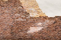 Brown brick wall with a cracked wall background vector