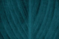 Blue leaf textured background vector