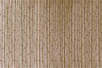 Gold bamboo stripes textured background