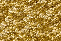 Shiny abstract gold textured background