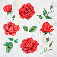 Psd rose and leaf set watercolor style