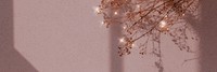 Brown sparkle dried flower background image