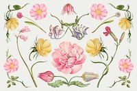 Vintage blooming flower illustration vector set, remix from The Model Book of Calligraphy Joris Hoefnagel and Georg Bocskay