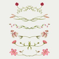 Pink flower divider flourish set vector, remix from The Model Book of Calligraphy Joris Hoefnagel and Georg Bocskay