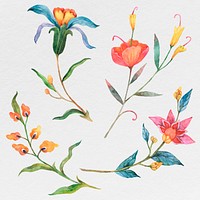 Colorful watercolor flowers psd set