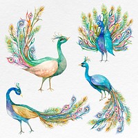 Beautiful watercolor peacock psd set