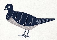 Vintage bird blue psd dove linocut style