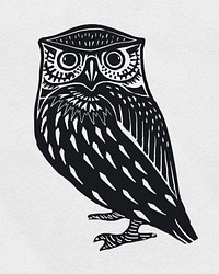 Owl black psd bird hand drawn clipart