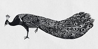 Peacock psd black bird stencil pattern hand drawn drawing