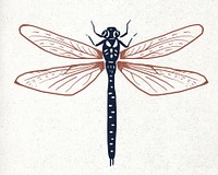 Vintage dragonfly linocut psd illustration