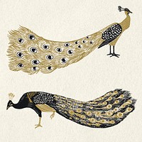 Vintage gold black peacock psd linocut clipart set