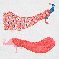Vintage colorful peacock psd exotic bird collection