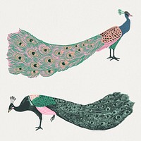 Colorful peacocks psd exotic animal vintage stencil set