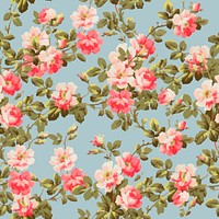 Vector colorful wild rose flower pattern vintage  background