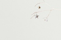 Christmas star ornaments psd with white background