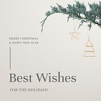 Seasonal greeting best wishes vector Christmas background