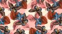 Butterfly floral abstract background with design space, remix from The Naturalist&#39;s Miscellany by George Shaw