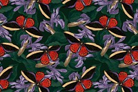 Butterfly floral abstract background vector with design space, remix from The Naturalist's Miscellany by George Shaw