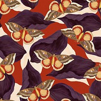Seamless butterfly floral pattern, vintage remix from The Naturalist&#39;s Miscellany by George Shaw