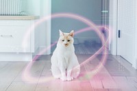 Smart pet psd and smart home technology background