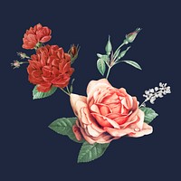 Elegant red vector cabbage rose bouquet hand drawn illustration