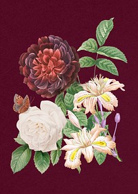 Vintage red guerin&#39;s rose flowers bouquet illustration