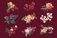 Vintage colorful spring roses vector hand drawn illustration set