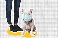 French bulldog in face mask psd social distancing mixed media collage
