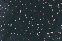 Pink confetti on a black marble textured background vector
