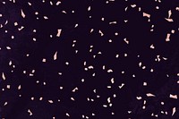 Pink confetti on a black marble textured background vector