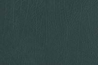 Dark green creased leather textured background