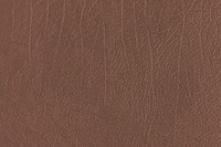 Brown creased leather textured background vector