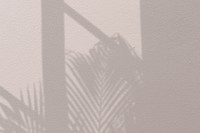 Background with palm tree and window shadow