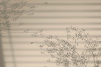 Background with floral branch and window shadow