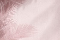 Pink background psd with palm tree