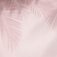 Pink background psd with palm tree