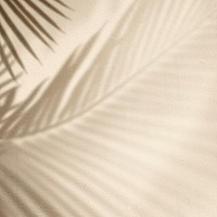 Golden background with palm tree