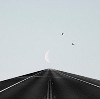 Abstract background psd of road to the moon with birds flying