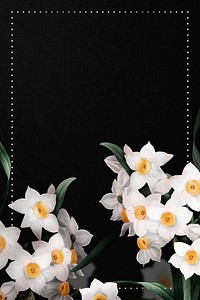 Daffodil border frame psd on black background